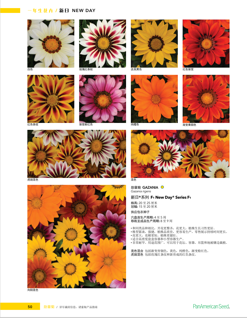8a57f29fe8f24bac78f2f67ab4a2db6.png