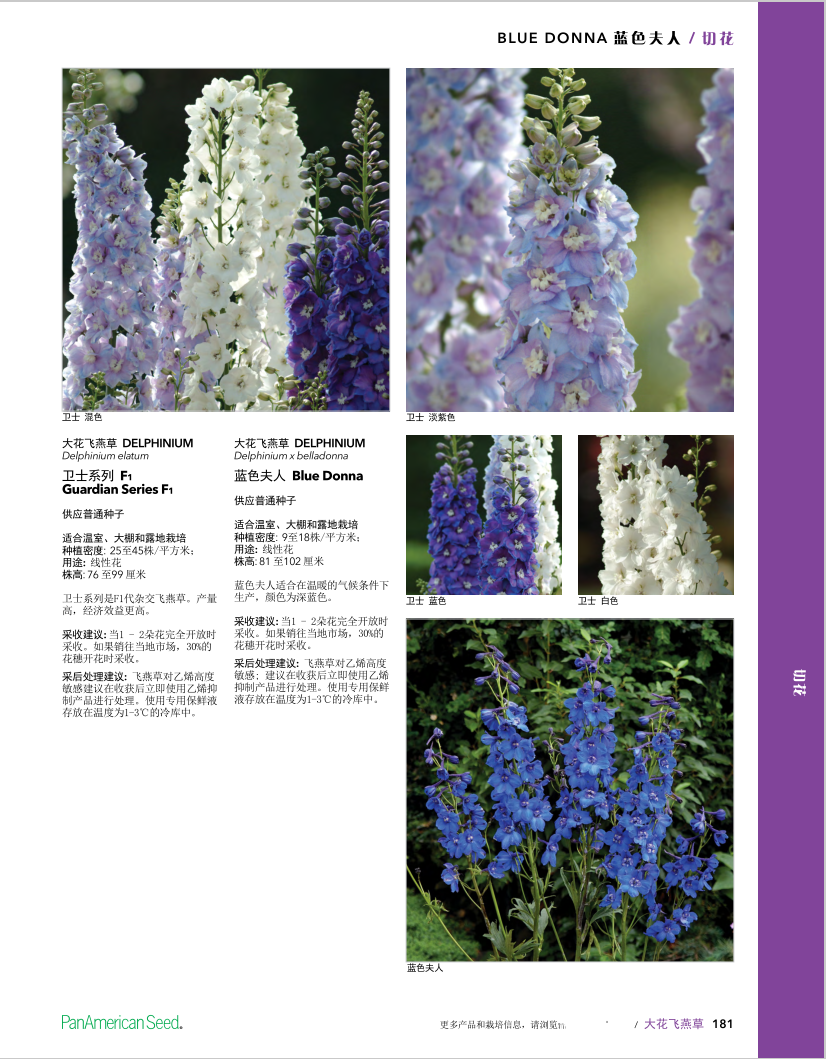 58c1e298d51ff3a7016338c652615ea.png