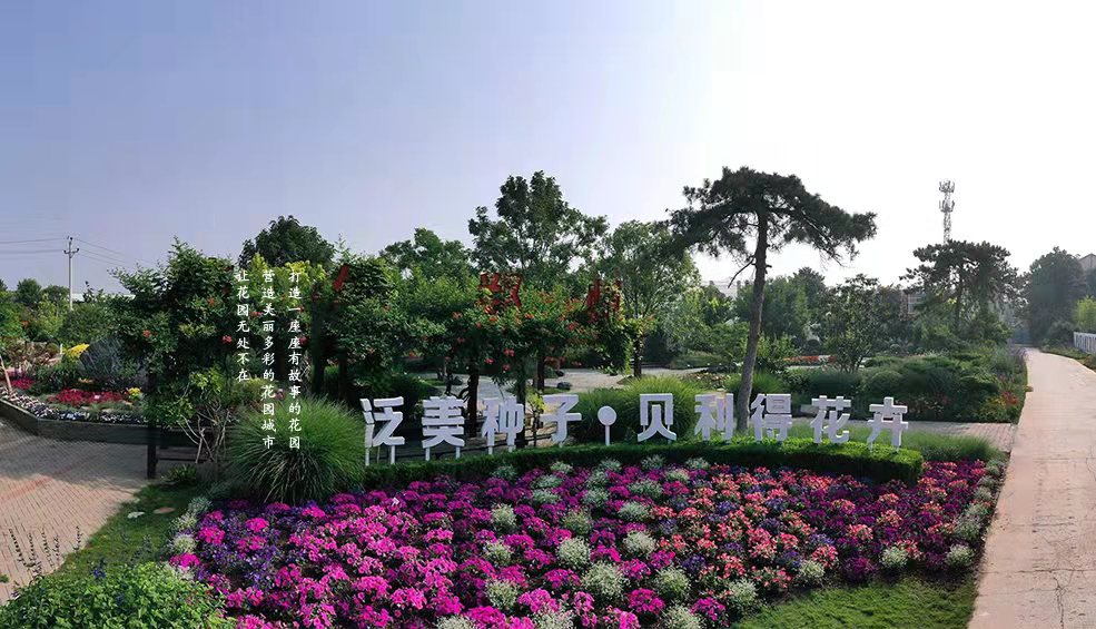 大圖