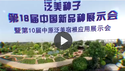 泛美展示會