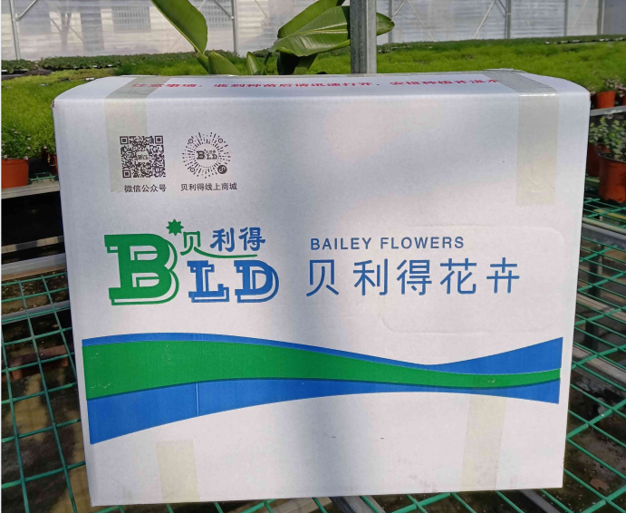 種苗發貨包裝箱