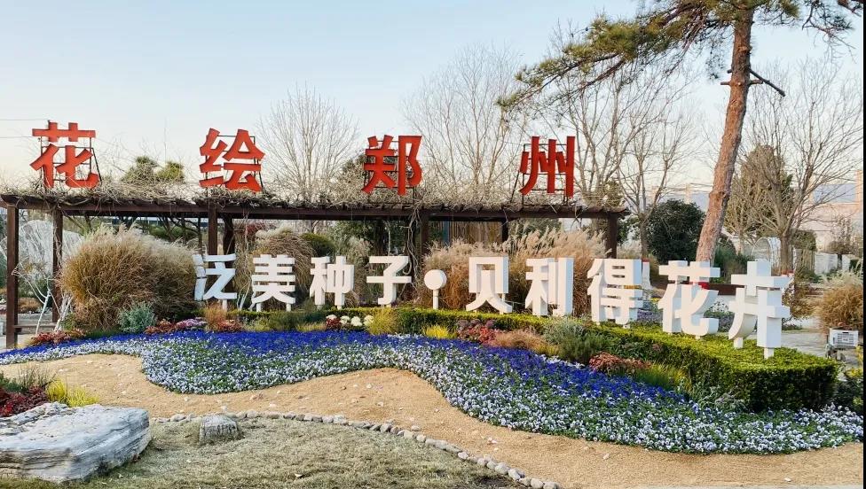 基地12月成品花卉銷售列表