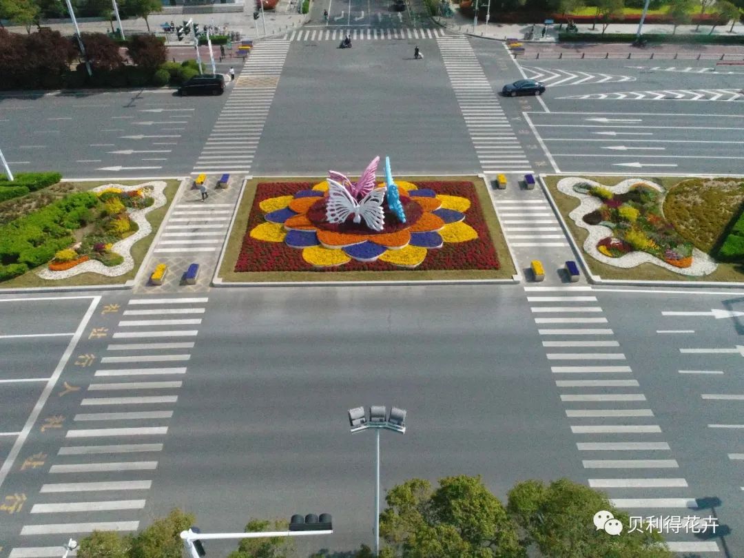 鄭州商務內環路案例應用追蹤